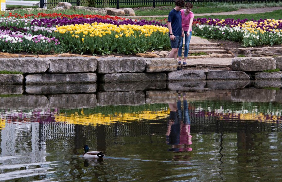 Reinisch Rose Gardens, United States